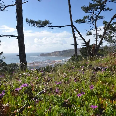 아파트 Bed & Seaside - Bola Da Nivea 나자레