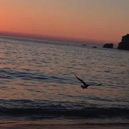 Bed & Seaside - Bola Da Nivea 나자레