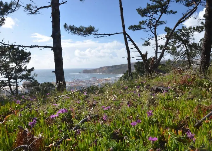 Apartment Bed & Seaside - Bola Da Nivea Nazare