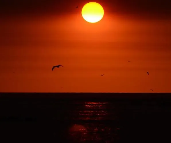 Apartment Bed & Seaside - Bola Da Nivea *